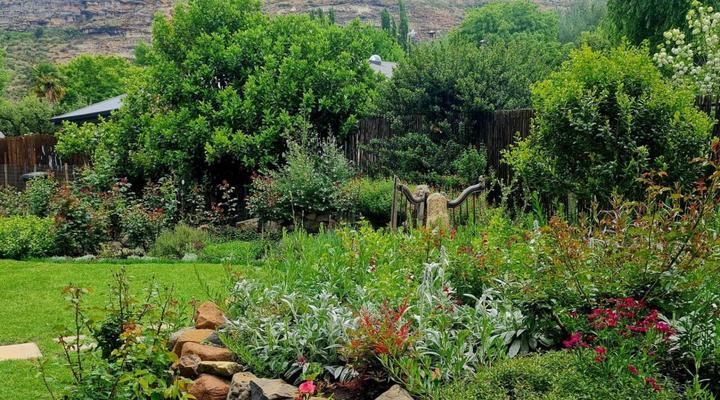 Grace Upon Grace Guest Suites