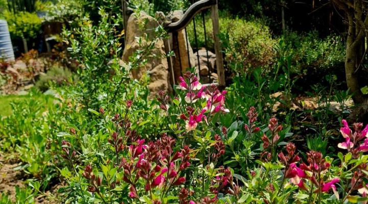 Grace Upon Grace Guest Suites