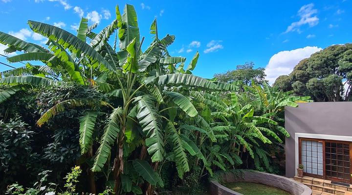 7th Street Guesthouse