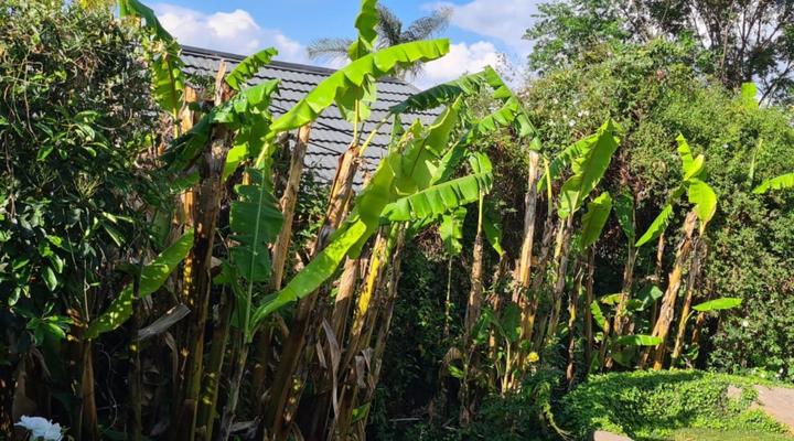 7th Street Guesthouse