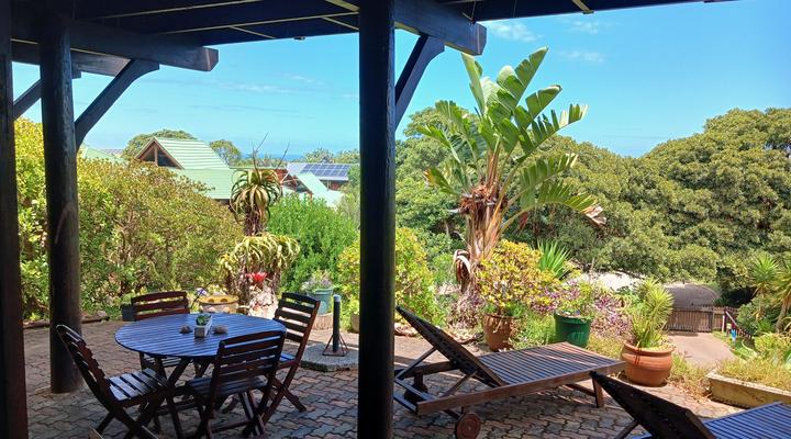 Blue Dolphin Guest Suite