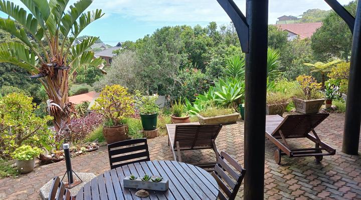 Blue Dolphin Guest Suite