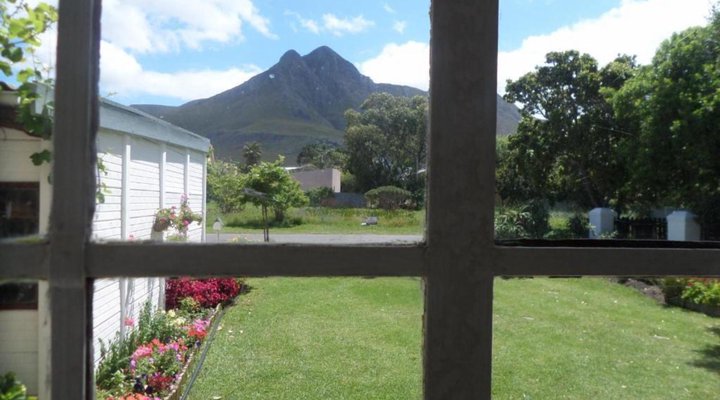 The Wild Fig Guesthouse