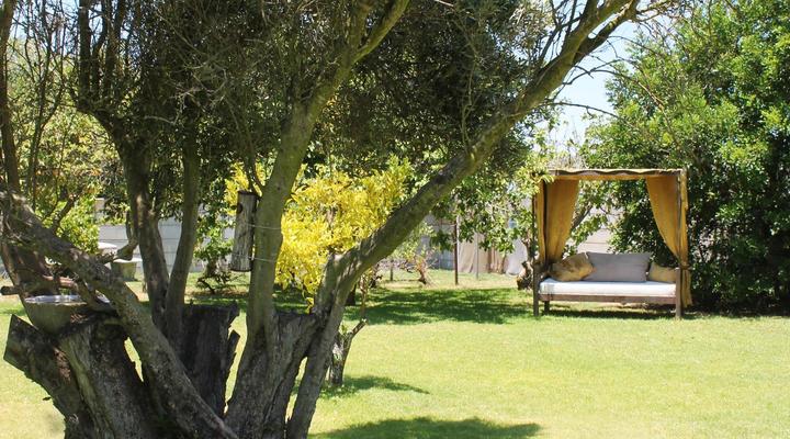 Goblin Creek Manor House