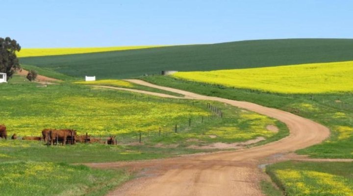 The Wild Fig Guesthouse