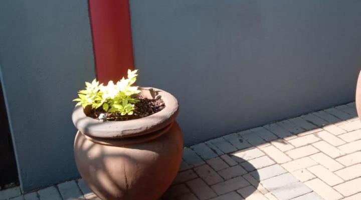 Grand Central Guesthouse