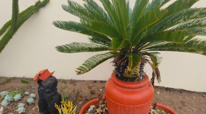 Boitumelo Bluewater Apartments