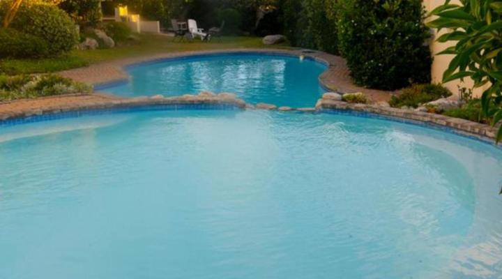 Refresh at 50 Whale Rock