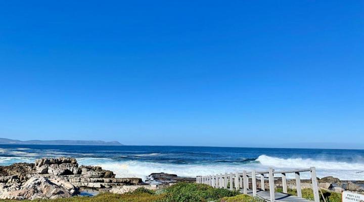 Refresh at 50 Whale Rock