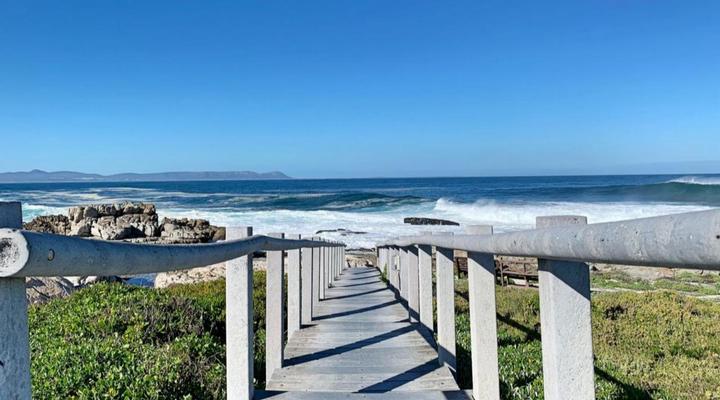 Refresh at 50 Whale Rock