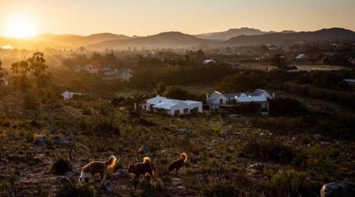 Kogman & Keisie Guest Farm