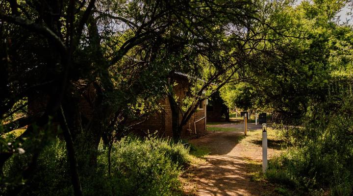 Klipplaatsdrift Safari Lodge