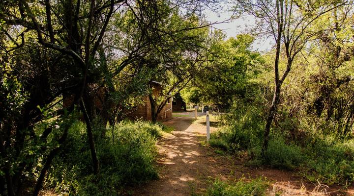 Klipplaatsdrift Safari Lodge