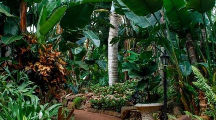 La Dolce Vita Guest House