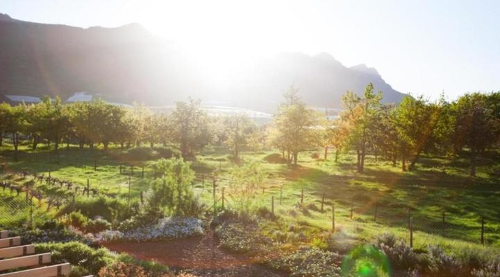 Vineyard Views Country House