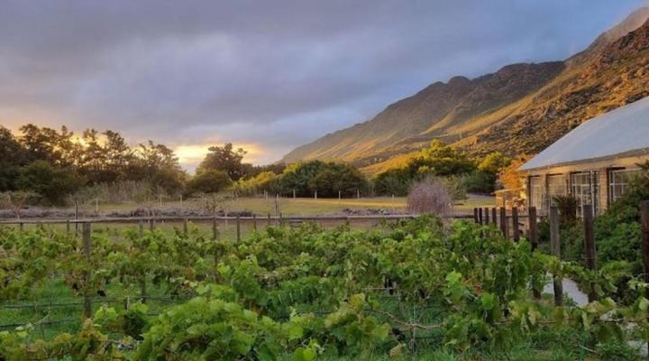 Kogman & Keisie Guest Farm