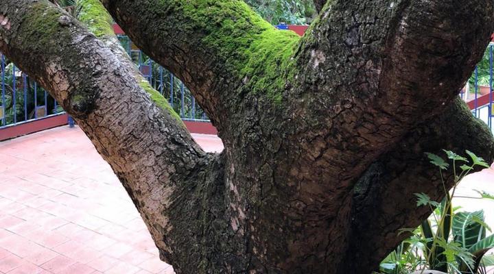 Nelspruit Emhlangeni Guesthouse