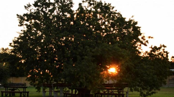 The Palms Albertinia