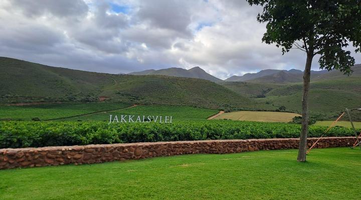 The Palms Albertinia