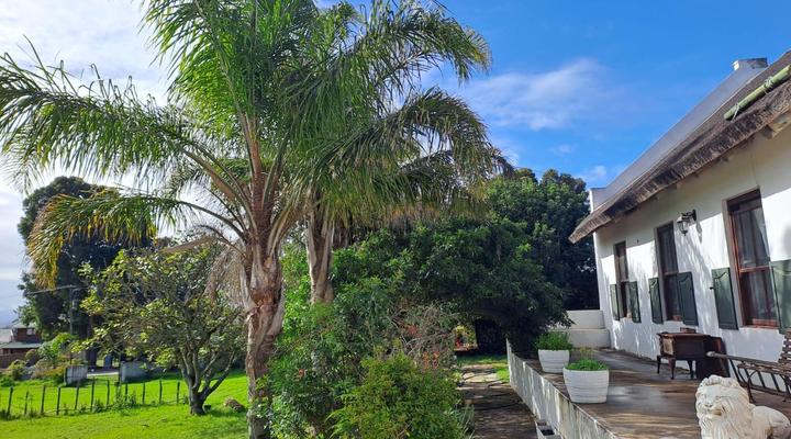 The Palms Albertinia