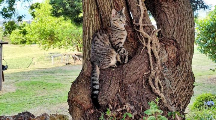 The Palms Albertinia