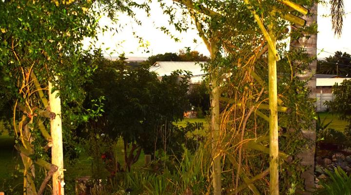 The Palms Albertinia