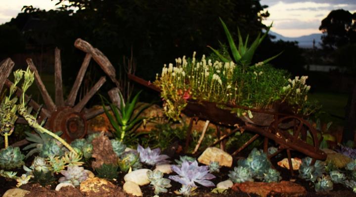 The Palms Albertinia