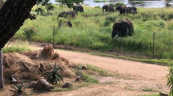 Tswenyane Kruger Lodge