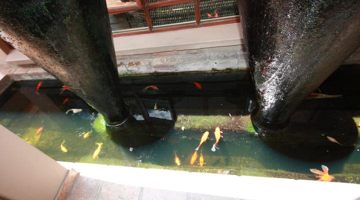 The Orion Guest House