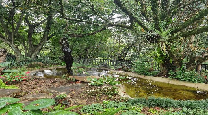 The Green Lizard Guesthouse