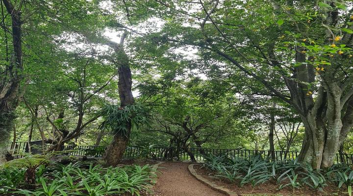 The Green Lizard Guesthouse