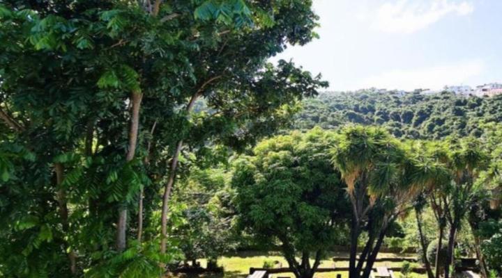 Vincent Valley Lodge