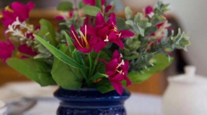 Kings Halt Guesthouse