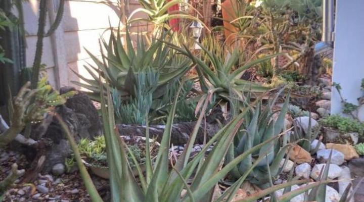 Villa Contessa Boutique Guest house