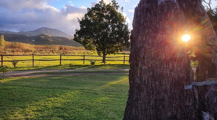 Whipstock Guest Farm