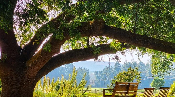 Whipstock Guest Farm