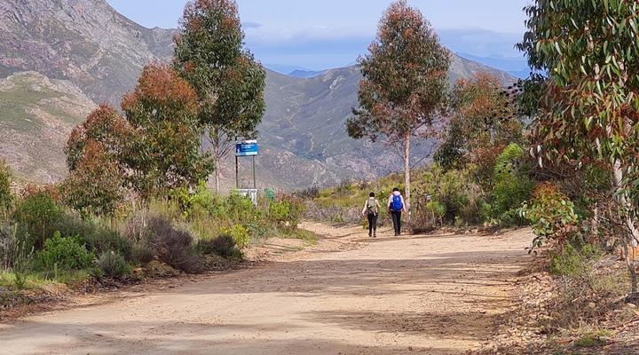 Whipstock Guest Farm