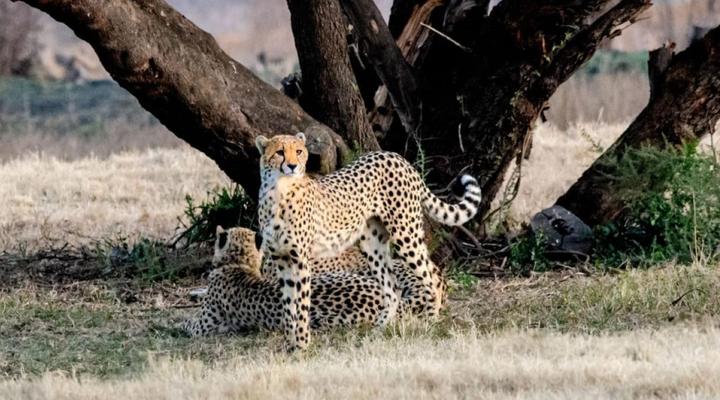Wild and Water Dinokeng