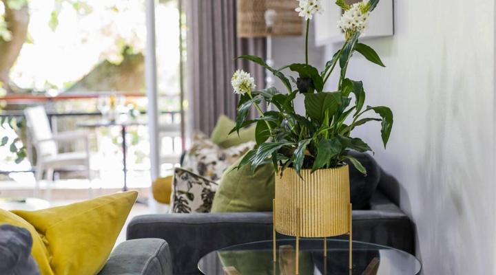 Casa Bella Stellenbosch - Jan Cats No: 4