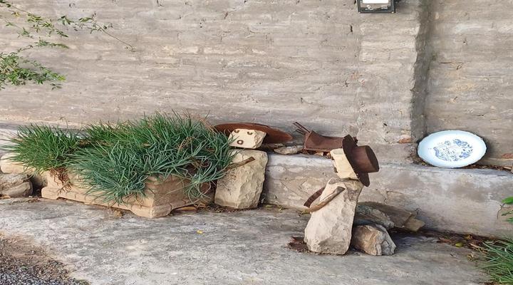 Herb Garden Guest House