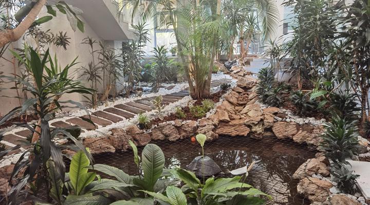 Villa Reis-The Villa of Kings