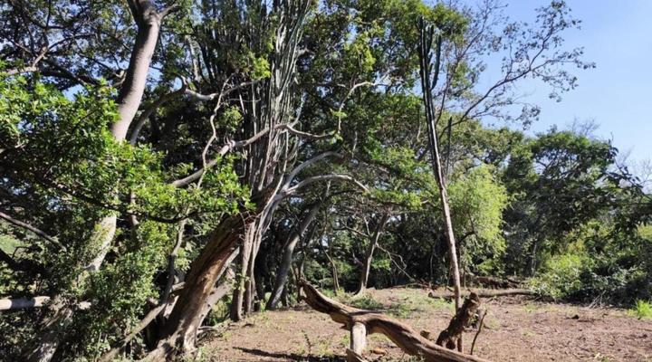 Bethesda Mountain Lodge