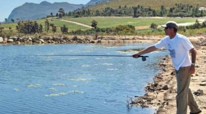 Stanford Hills Estate