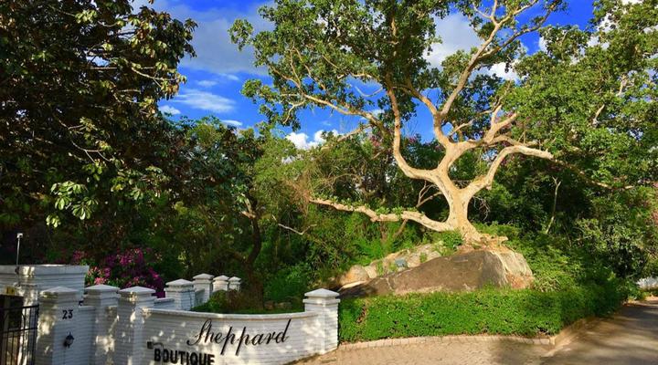 Sheppard Boutique Hotel