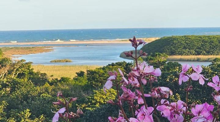 Ndiza Lodge and Cabanas