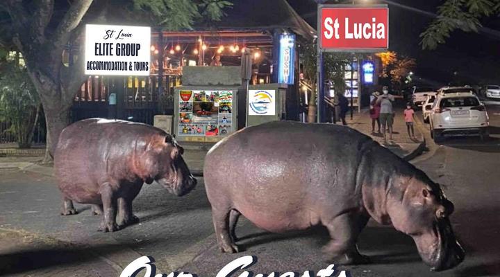 Ndiza Lodge and Cabanas