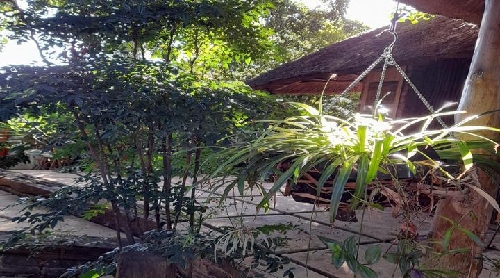 Breena BnB Guest House