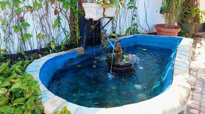 Queensburgh Bed and Breakfast or self catering