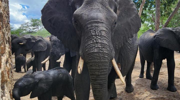 Gwango Heritage Resort