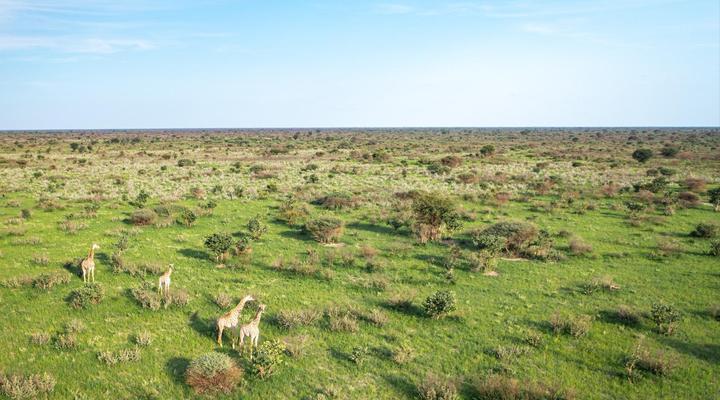 Evolve Back Gham Dhao Lodge, Kalahari